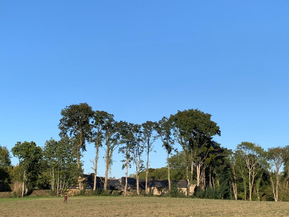 Jolie Metairie D'Une Seigneurie Bretonne. Peaule エクステリア 写真